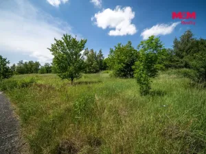 Prodej pozemku pro bydlení, Dublovice, 1001 m2