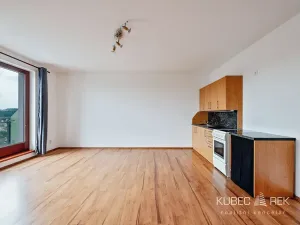 Pronájem bytu 2+kk, Tábor, Budějovická, 54 m2
