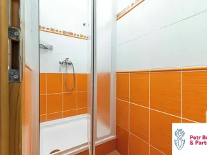 Pronájem skladu, Rakovník, Sportovní, 220 m2