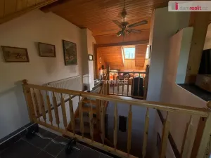 Prodej ubytování, Bor - Ostrov, 390 m2