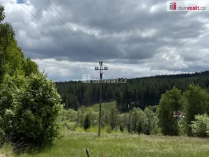 Prodej ubytování, Bor - Ostrov, 390 m2