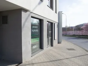 Prodej obchodního prostoru, Praha, Maroldova, 57 m2