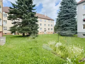 Prodej bytu 1+kk, Nový Bor, Riegrova, 32 m2