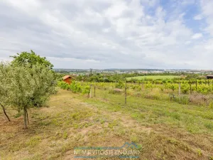 Prodej zahrady, Dobšice, K Hájku, 1078 m2