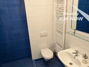 Pronájem bytu 1+kk, Kroměříž, 43 m2
