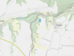 Prodej lesa, Slavičky - Pozďátky, 560 m2