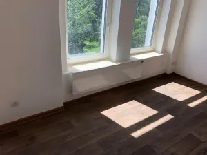 Pronájem bytu 1+kk, Ústí nad Labem - Předlice, Prostřední, 42 m2