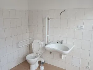 Pronájem bytu 1+kk, Ústí nad Labem - Předlice, Prostřední, 42 m2