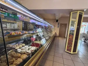 Pronájem komerční nemovitosti, Bučovice, Slavkovská, 101 m2