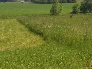 Prodej pozemku pro bydlení, Olešná, 935 m2