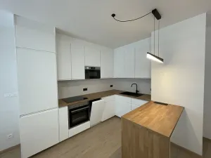 Pronájem bytu 3+kk, Praha - Řeporyje, Haenkeho, 80 m2