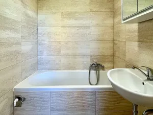 Pronájem bytu 1+1, Brno, Palackého třída, 39 m2