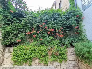 Prodej rodinného domu, Medulin, Chorvatsko, 147 m2