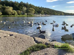 Pronájem bytu 4+kk, Dobřichovice, Anežky České, 100 m2