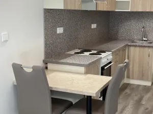 Pronájem bytu 1+kk, Brno - Židenice, Líšeňská, 40 m2