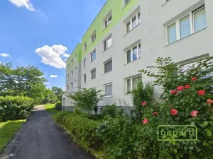 Prodej bytu 2+kk, Plzeň, Bzenecká, 48 m2