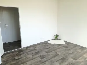 Pronájem bytu 2+1, Ostrava - Dubina, Norberta Frýda, 44 m2