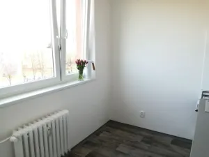 Pronájem bytu 2+1, Ostrava - Hrabůvka, Josefa Kotase, 50 m2