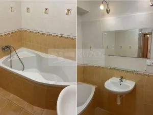 Pronájem bytu 2+kk, Plzeň - Východní Předměstí, Květná, 51 m2