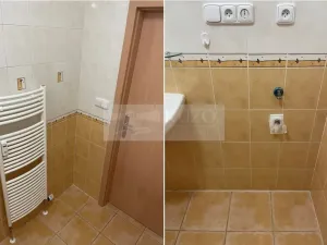 Pronájem bytu 2+kk, Plzeň - Východní Předměstí, Květná, 51 m2