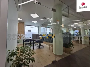 Pronájem komerční nemovitosti, Jihlava, Matky Boží, 151 m2