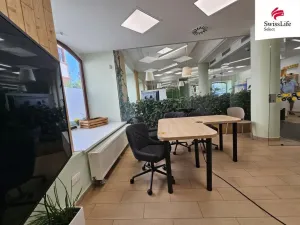 Pronájem komerční nemovitosti, Jihlava, Matky Boží, 151 m2
