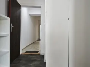 Pronájem bytu 1+kk, Brno, Skorkovského, 30 m2