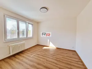 Pronájem bytu 3+1, Nová Ulice, Dělnická, 64 m2