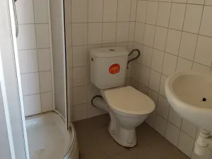 Pronájem vícegeneračního domu, Miroslav, Česká, 250 m2