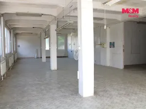 Pronájem výrobních prostor, Nová Paka, Kotíkova, 330 m2