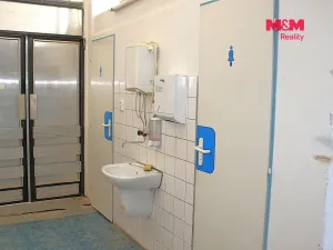 Pronájem výrobních prostor, Nová Paka, Kotíkova, 330 m2