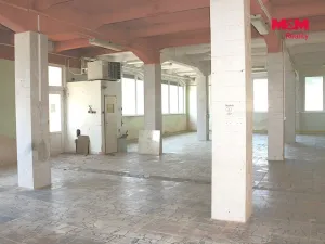 Pronájem obchodního prostoru, Nová Paka, Kotíkova, 330 m2