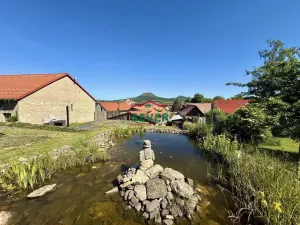 Prodej rodinného domu, Nečichy, 220 m2