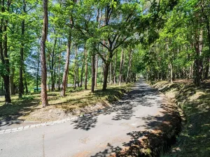 Prodej bytu 2+1, Nová Ves pod Pleší, 93 m2