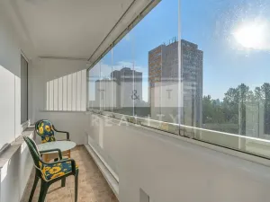 Pronájem bytu 1+kk, Hradec Králové, Jungmannova, 39 m2