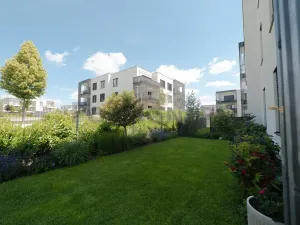 Pronájem bytu 2+kk, Olomouc, Karla Mareše, 83 m2