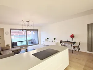 Pronájem bytu 3+kk, Brno - Staré Brno, Anenská, 105 m2