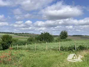 Prodej rodinného domu, Voynikovo, Bulharsko, 118 m2