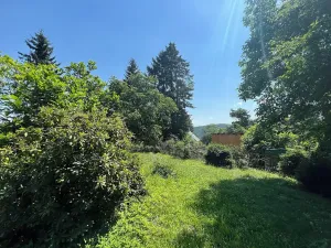 Prodej chalupy, Medonosy, 170 m2