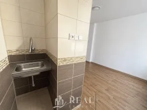Prodej bytu 1+kk, Louny, Přemyslovců, 23 m2