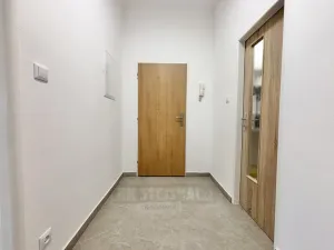 Pronájem bytu 3+kk, České Budějovice - České Budějovice 5, Dobrovodská, 60 m2