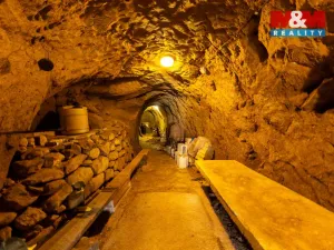 Prodej rodinného domu, Křepice, 141 m2