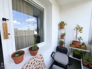 Prodej bytu 1+1, Brno - Bystrc, Kuršova, 45 m2