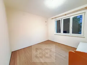 Pronájem bytu 2+1, Ostrov, S. K. Neumanna, 56 m2