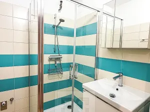 Pronájem bytu 2+1, Ostrov, S. K. Neumanna, 56 m2