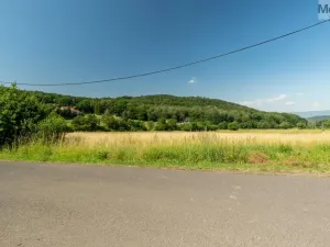 Prodej komerčního pozemku, Braňany - Kaňkov, 23391 m2