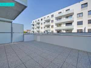 Pronájem bytu 2+kk, Olomouc - Nová Ulice, Třída Jiřího Pelikána, 44 m2