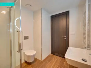 Pronájem bytu 2+kk, Olomouc - Nová Ulice, Třída Jiřího Pelikána, 44 m2