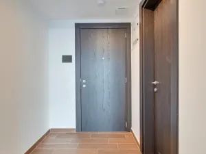 Pronájem bytu 2+kk, Olomouc - Nová Ulice, Třída Jiřího Pelikána, 44 m2