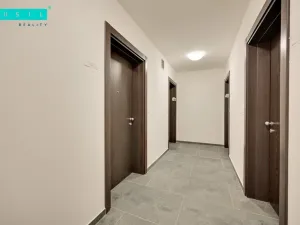 Pronájem bytu 2+kk, Olomouc - Nová Ulice, Třída Jiřího Pelikána, 44 m2